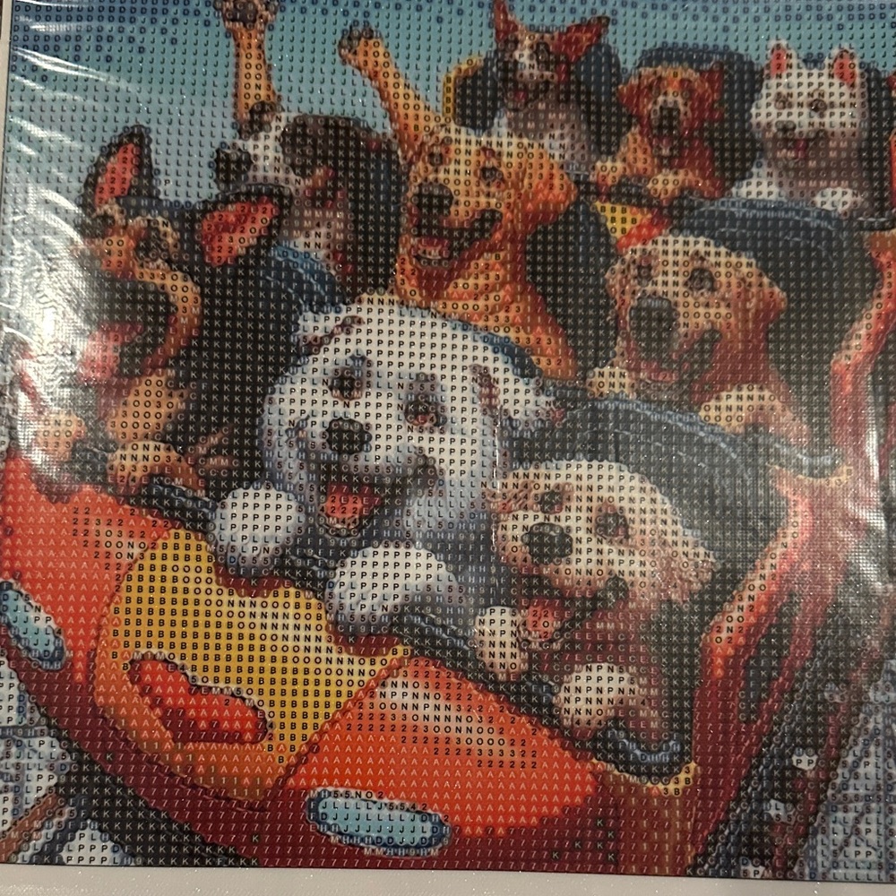 Host Support Diamond Art Kit Colorful Dog Roller Coaster